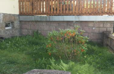 Alte Bäckerei Antonsthal - Foto 22