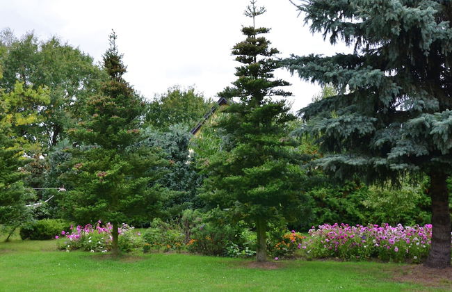 Ferienhaus in Brandenburg - Foto 23