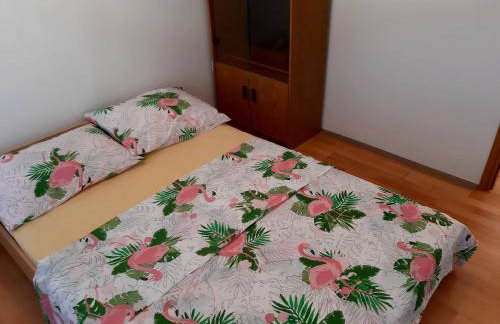 Apartmani Ivan - Foto 14