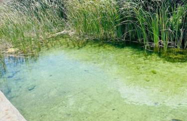 maison Cueva cosy - Foto 13