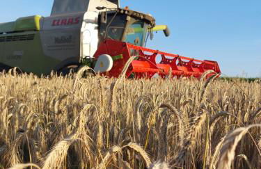 Hof Albersmeier Hüttinghausen / Urlaub am Stall - Foto 18