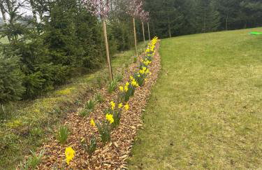 Agro na Wapniarni - Foto 20