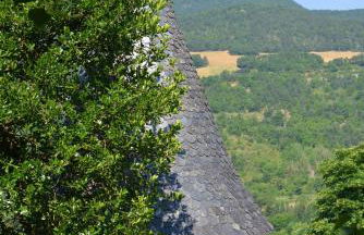 Les Fleurs de Marie - Photo 10