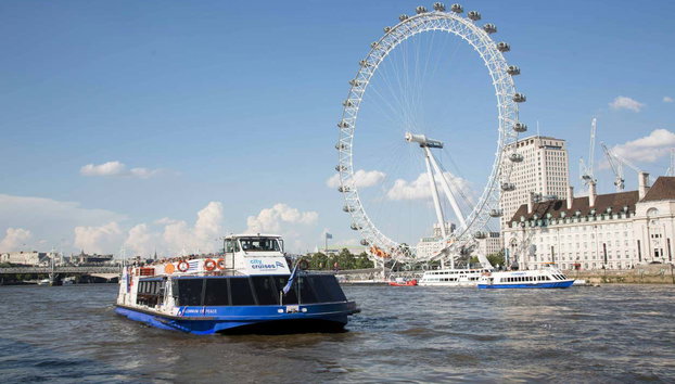 Total London Full Day Guided Tour - Photo 4