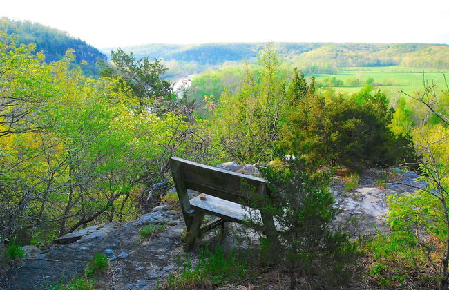 Rock Eddy Bluff Farm - Photo 32