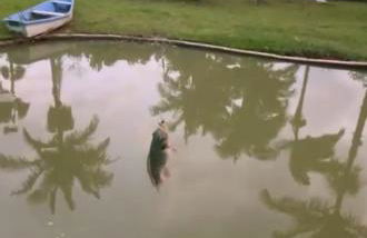 Sítio meu recanto - Photo 1