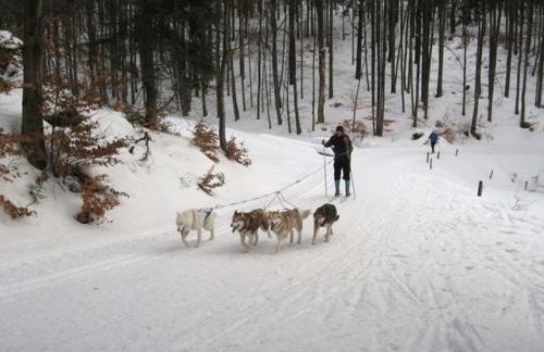 Ferienhaus Gäste Komfort Vesser - Foto 18