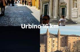 Apartment in the Marche hills - Foto 24