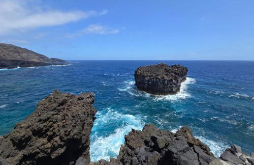 FINCA LA JORADITA - Foto 14