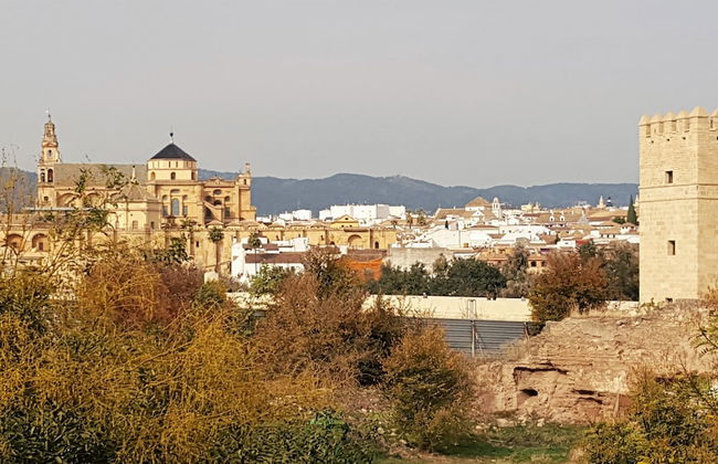 Piso junto al Puente Romano y Mezquita con cochera - Foto 9