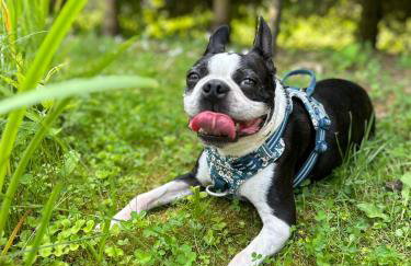 Apartament Pola - Photo 19