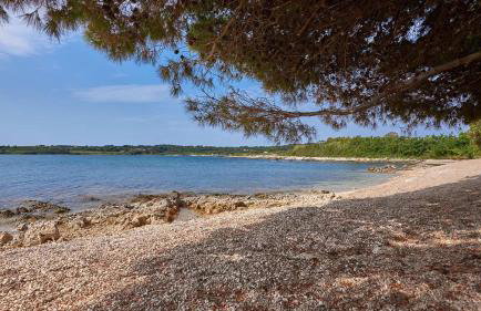 Villa Grande Arche Istria - Photo 57