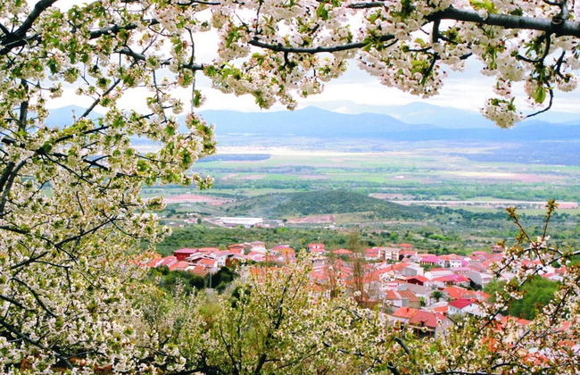 Estudios Manolo - Photo 35