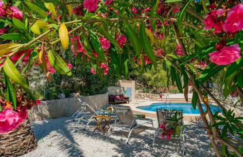 Casa Coromandel - Foto 57