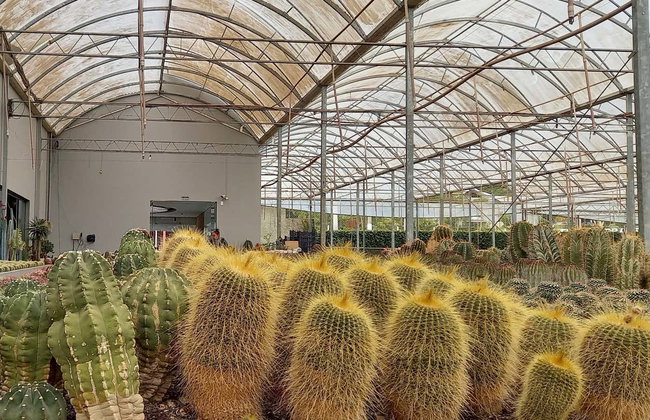 Escursione a Imigrante, Estrela e Colinas - Foto 4