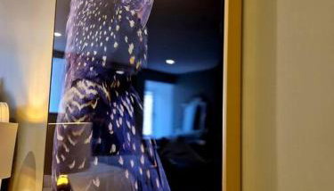 Hamilton - Lord William - Foto 4