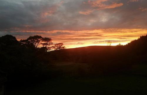 Bluebells Cottage - Photo 33