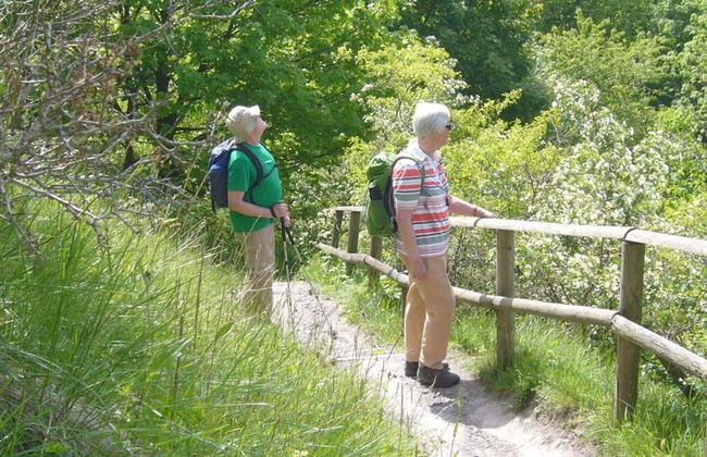 Luise Bernhardt Modern Retreat - Foto 8