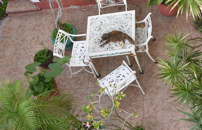 Room in B&B - Cancun Guest House 6 - Foto 18