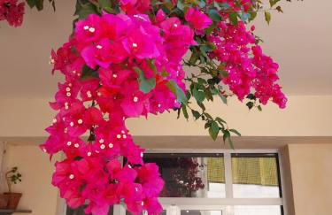 Casa Marten - Foto 49