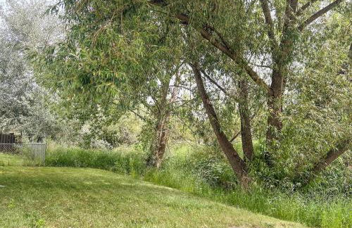 Paradise Creek Cottage - Foto 9