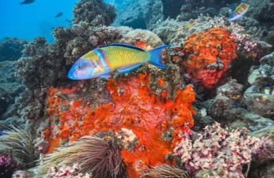 Roquetas Costa - Foto 27