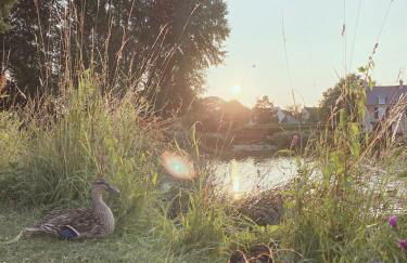 Gite L'Erable Normand - Foto 19