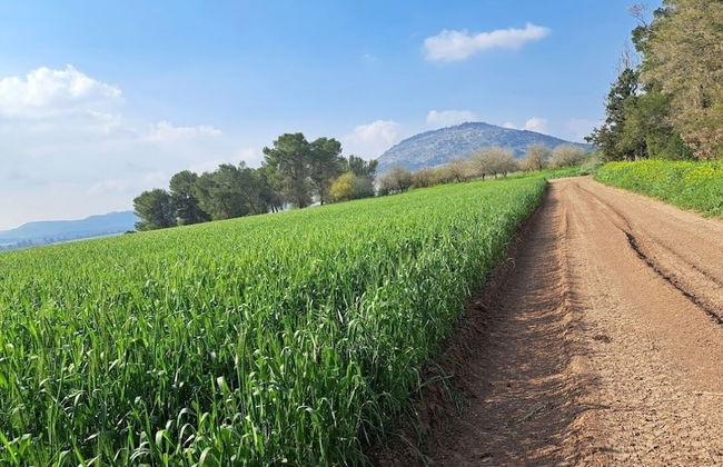 Mount Tabor Home by Sea N' Rent - Foto 50