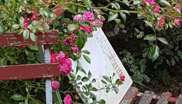 Gîte de la vieille croix - Foto 5