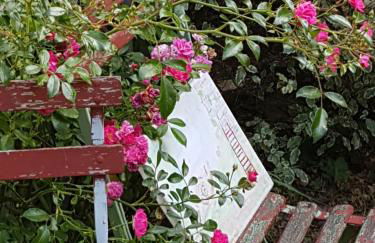 Gîte de la vieille croix - Foto 5