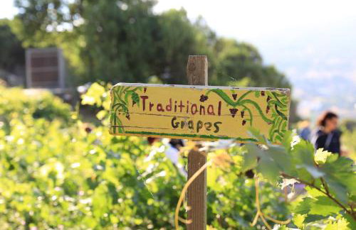 Παραδοσιακός πέτρινος ξενώνας σε φάρμα - Foto 40