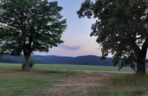 Haus Stefanie Elvire - Foto 71