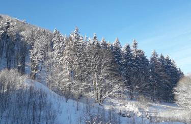 Apartament Zielony Zakątek - Foto 41