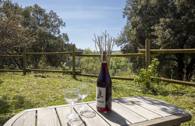 Domaine de Sévenier Chêne Blanc - Foto 11