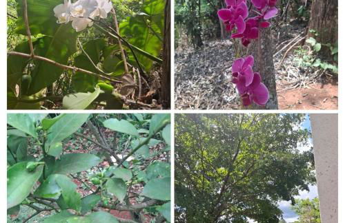 Casa Brumadinho vista da Serra da Moeda e Inhotim - Foto 11