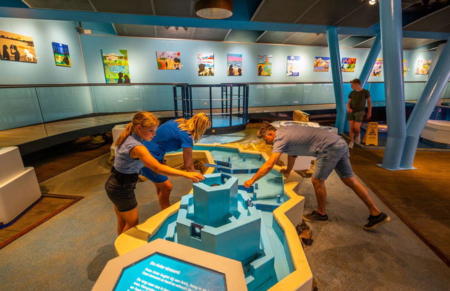 3 bedroom House in Arnhem with swimming pool and garden - Photo 8