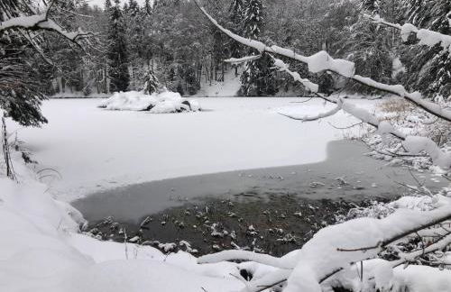 Le Giromagite au pied du Ballon d'Alsace - Foto 16
