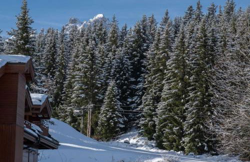 Courchevel 1850 - Appartement 4 pers, skis aux pieds, wifi, parking - FR-1-631-220 - Foto 11