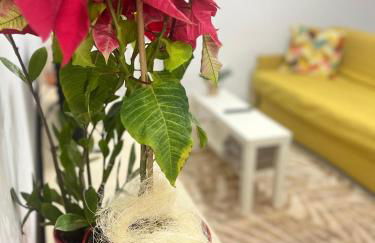 Piso completo a 5 minutos del metro linea 5 verde - Photo 2