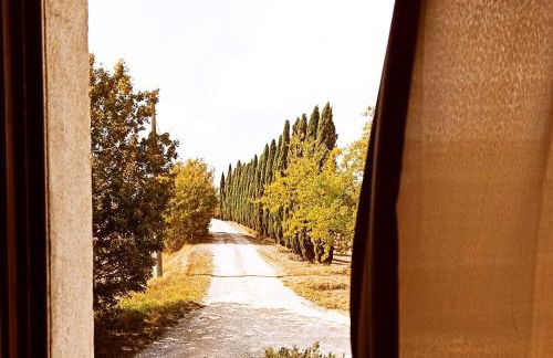 Podere Cartaio Bio Farm, private pool, AirC - Foto 68