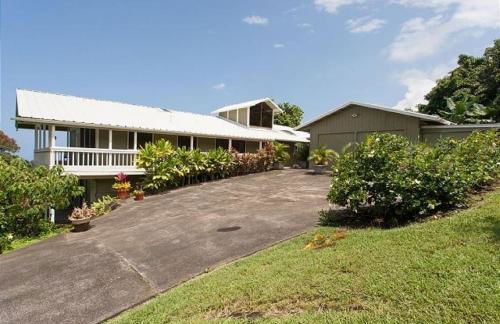 Orchid Hale - Foto 53