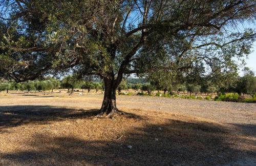 AGROTOPIA Guesthouses - Foto 50