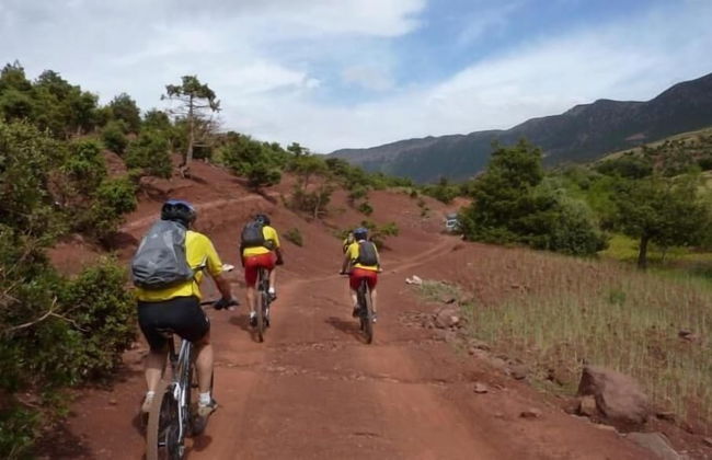 Bio et Bois - Foto 56