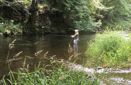 Haus Bodetal - Foto 17