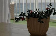 Mariannas tiny paradise - Foto 11