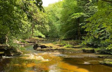 Fettlers Cottage, Cumbria - Photo 25