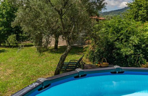 Casa da Eira "Lavoura da Bouça - Fruta Bio" - Foto 28