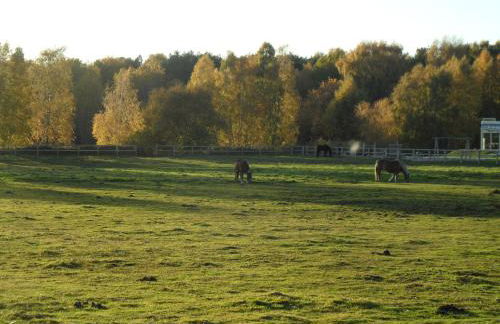 Ferienwohnung Gartentraum mit tollem Rasengarten - Foto 35