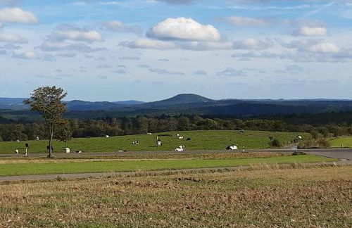 Ferienhaus Deine Zeit mit SAUNA und WALLBOX - Photo 25