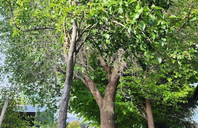 Cabañas la Chacra - Foto 55